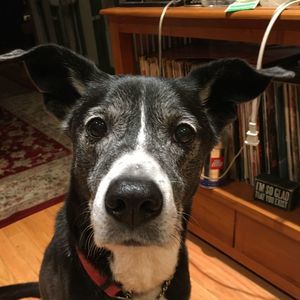 Meet your Posher, Leora